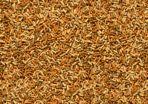 Das Bild zeigt eine Nahaufnahme von Tetra Pond Sticks, einem schwimmenden Hauptfutter für Teichfische. Die Sticks sind in verschiedenen Brauntönen gehalten und haben eine längliche Form. Geeignet für alle Gartenteichfische, fördern sie Vitalität, Energie 