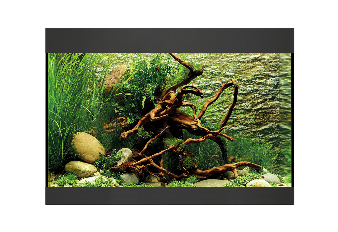 Oase Aquarium, ideal für Süßwasserfische, mit natürl. Dekor (Steine, Wurzeln, Pflanzen). Für Aquaristik-Fans.