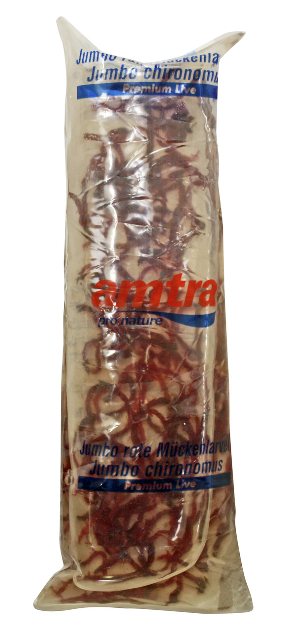 amtra Jumbo rote Mückenlarven – Premium Live, Fischfutter für Aquarienfische, lebend, hochwertig, Zielgruppe: Aquarienbesitzer.