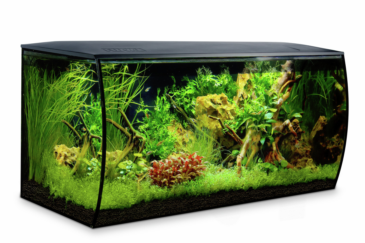 Fluval Flex Aquarium, 123 L, für Süßwasserfische, modernes Design, klare Sicht, ideal für Aquaristik-Enthusiasten.
