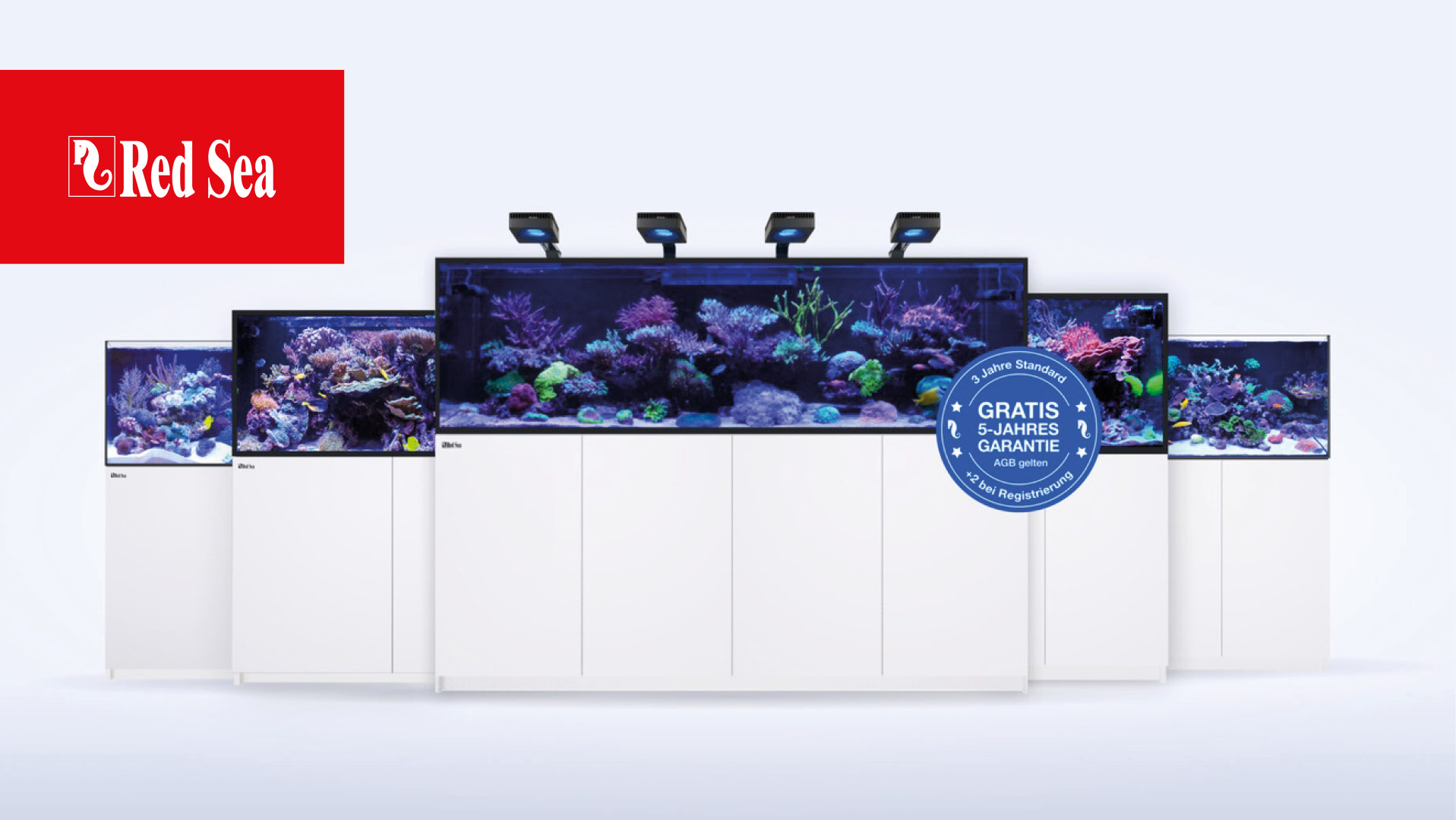 Blog%20920x518 Readsea 2