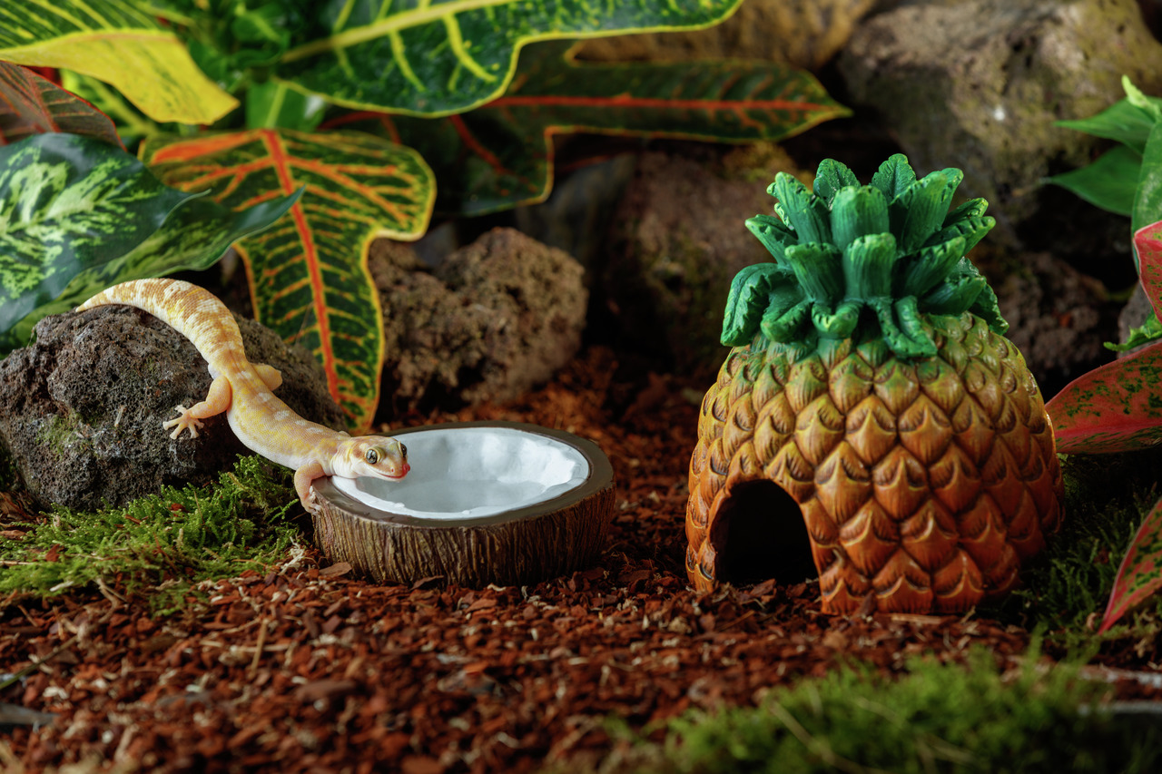 Exo Terra Versteck Ananas, für Leopardgeckos, dekorativ, simuliert nat. Umgebung, mit Holzsubstrat, trop. Pflanzen, Felsen.