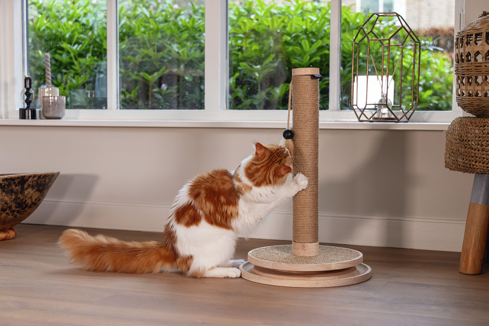 Kratzbaum „Designed by Lotte“ für Katzen, Holz & Sisal, mit Spielkugel, ideal zur Krallenpflege & zum Spielen.