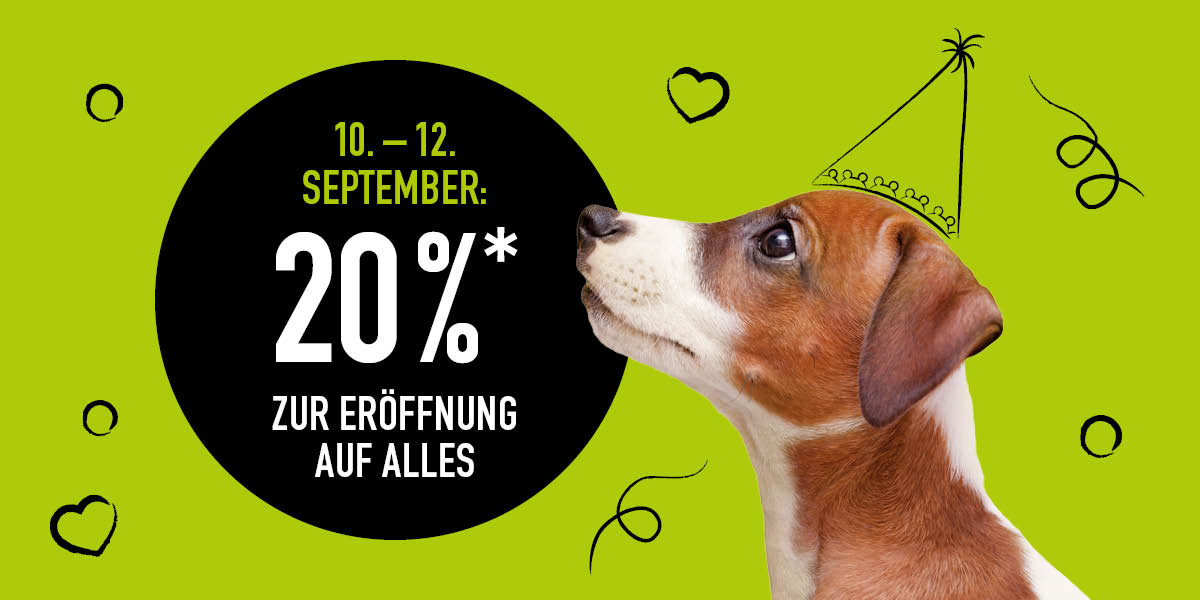 Grüner Hintergrund mit Hund der zur Aufschrift über die Neueröffnung in St. Valentin hochschaut.