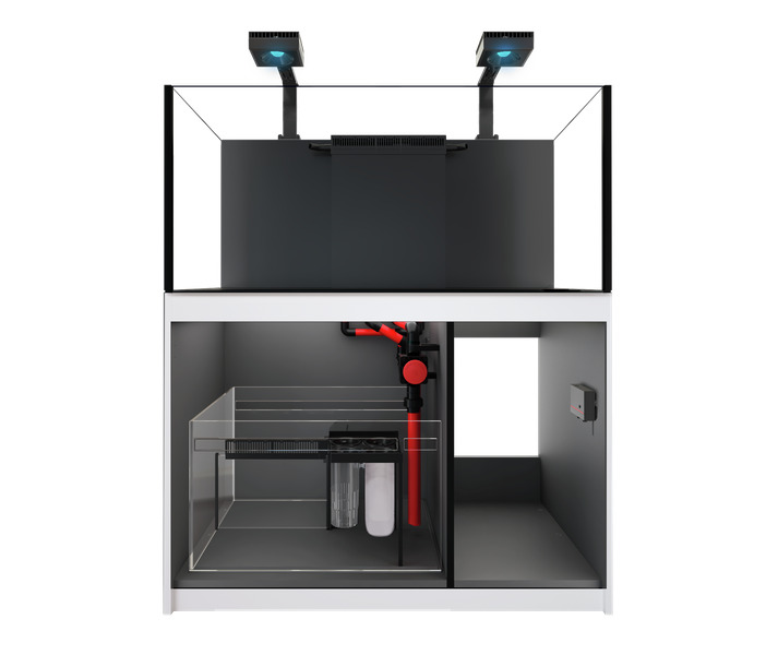 Das Bild zeigt das Red Sea Reefer 3XL 900 Aquarium-System, ein hochwertiges Meerwasseraquarium für erfahrene Aquaristik-Enthusiasten. Es umfasst ein modernes, randloses Design mit LED-Beleuchtung, ein integriertes Filtersystem und einen geräumigen Untersc