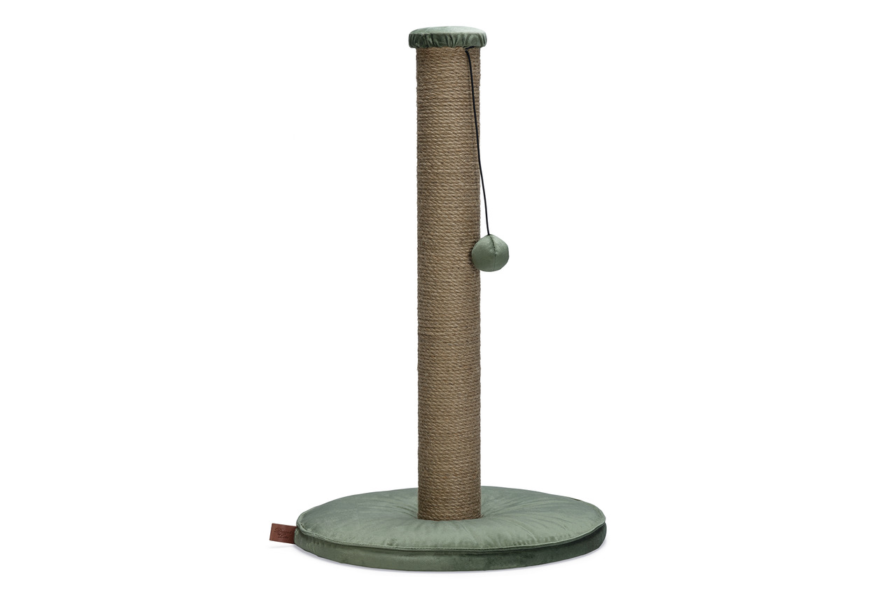 Kratzbaum „Designed by Lotte“ für Katzen, Sisalsäule, grüne Basis, Spielball, ideal für Krallenpflege & Beschäftigung.