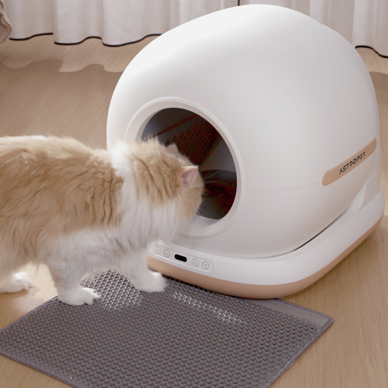 Weiße, rundliche Katzentoilette von AstroPet mit Katzenklappe, geeignet für Katzen, auf Teppich, beige-weißes Design, automatische Reinigung.