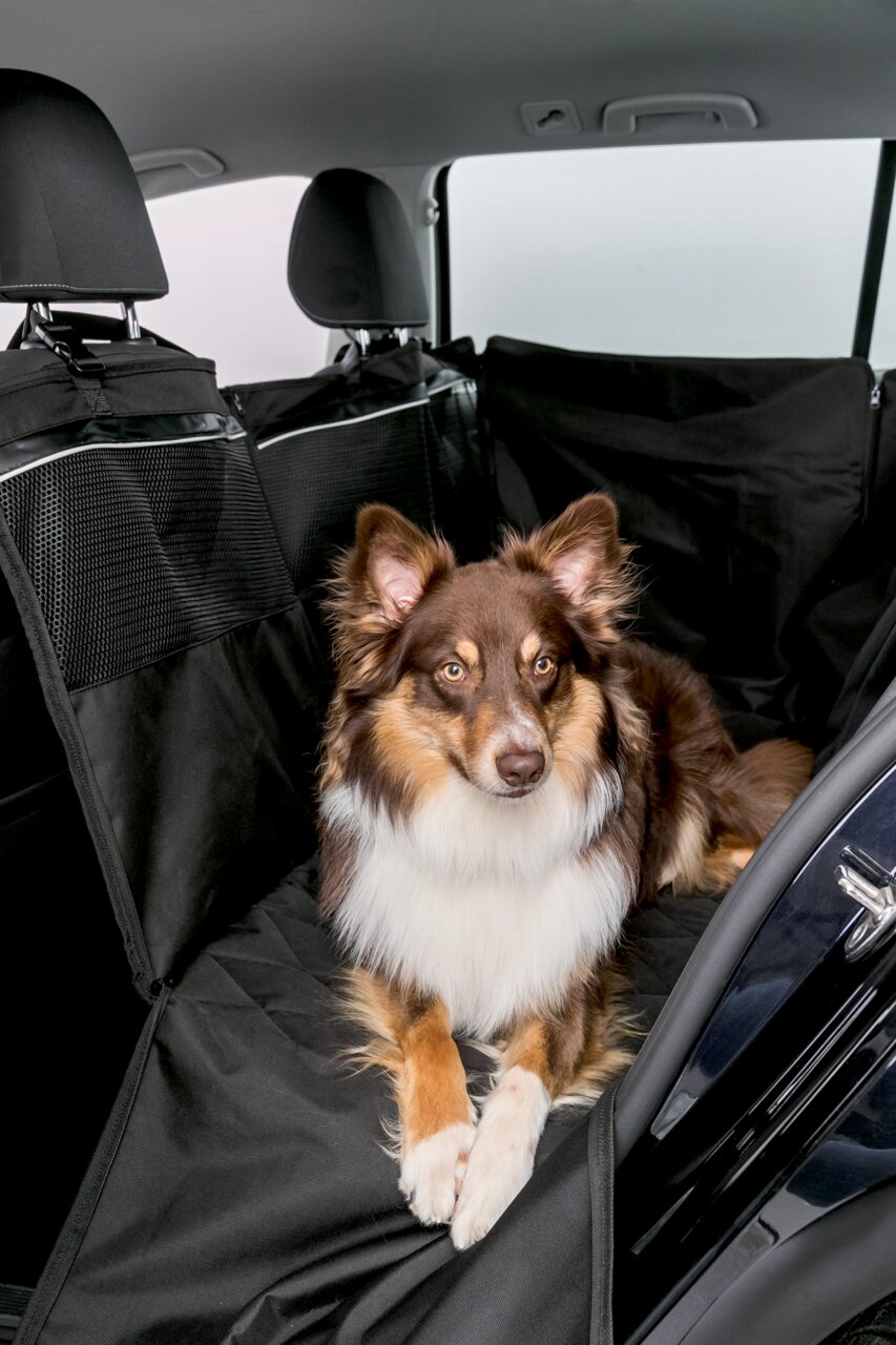 TRIXIE Autoschondecke, Rückbank, für Hunde, schwarz, mit Netzeinsätzen, Schutz vor Schmutz-Tierhaaren, Komfort, mittelgroßer Hund.