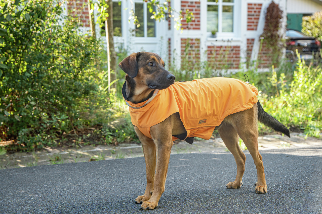 Wolters Outdoorjacke Modern Classic 60 cm orange