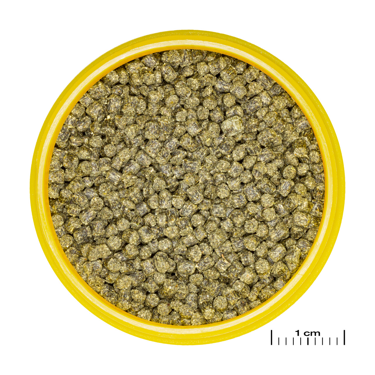 JBL ProPond Growth M: Hochwertiges Fischfutter für Koi & Teichfische, grüne Pellets für Wachstum, Zielgruppe: Teichfischhalter.