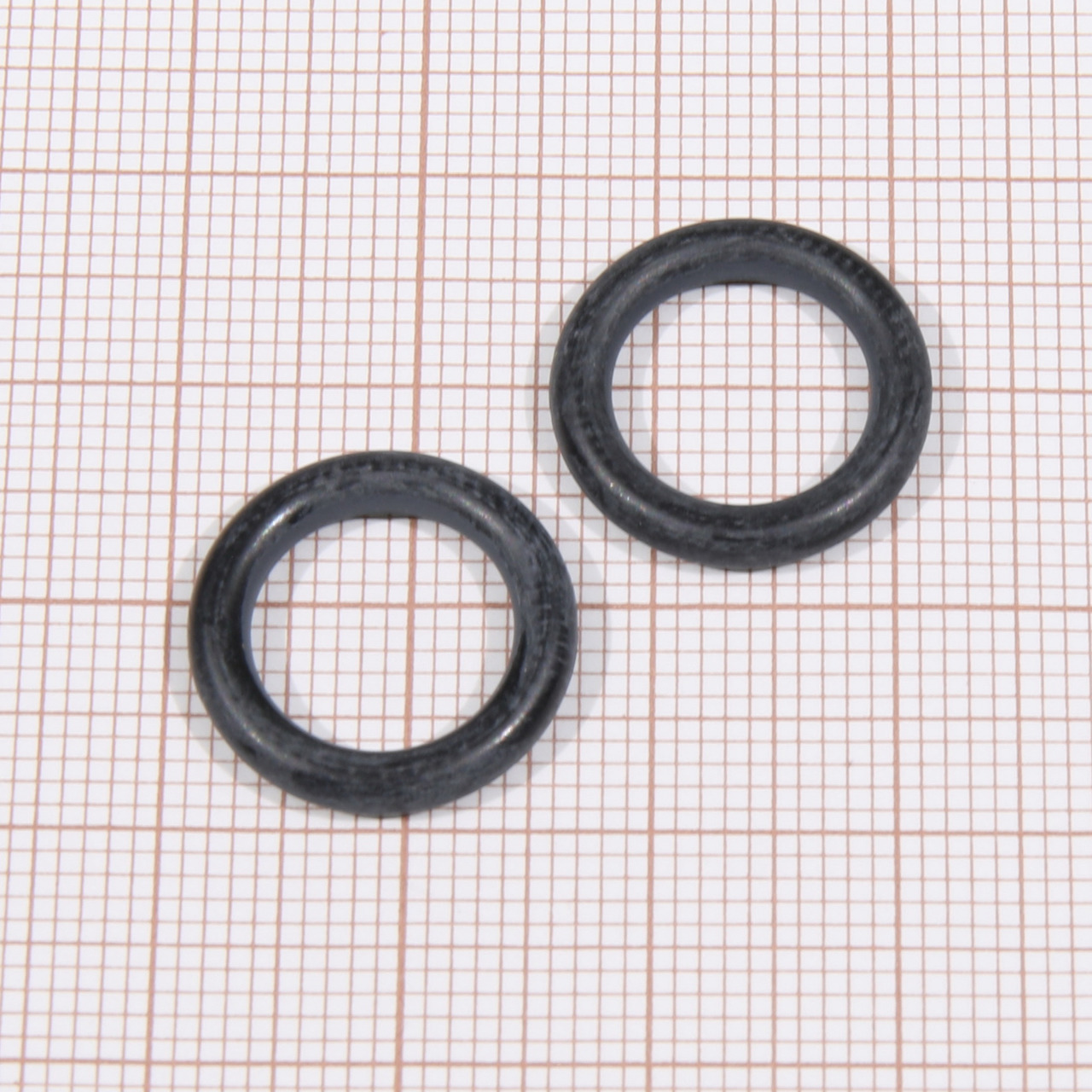 JBL O-Ringe, schwarz, 2 Stk., für Aquarienfilter, Abdichtung, präzise Passform, langlebig, Zielgr.: Aquarienbesitzer.