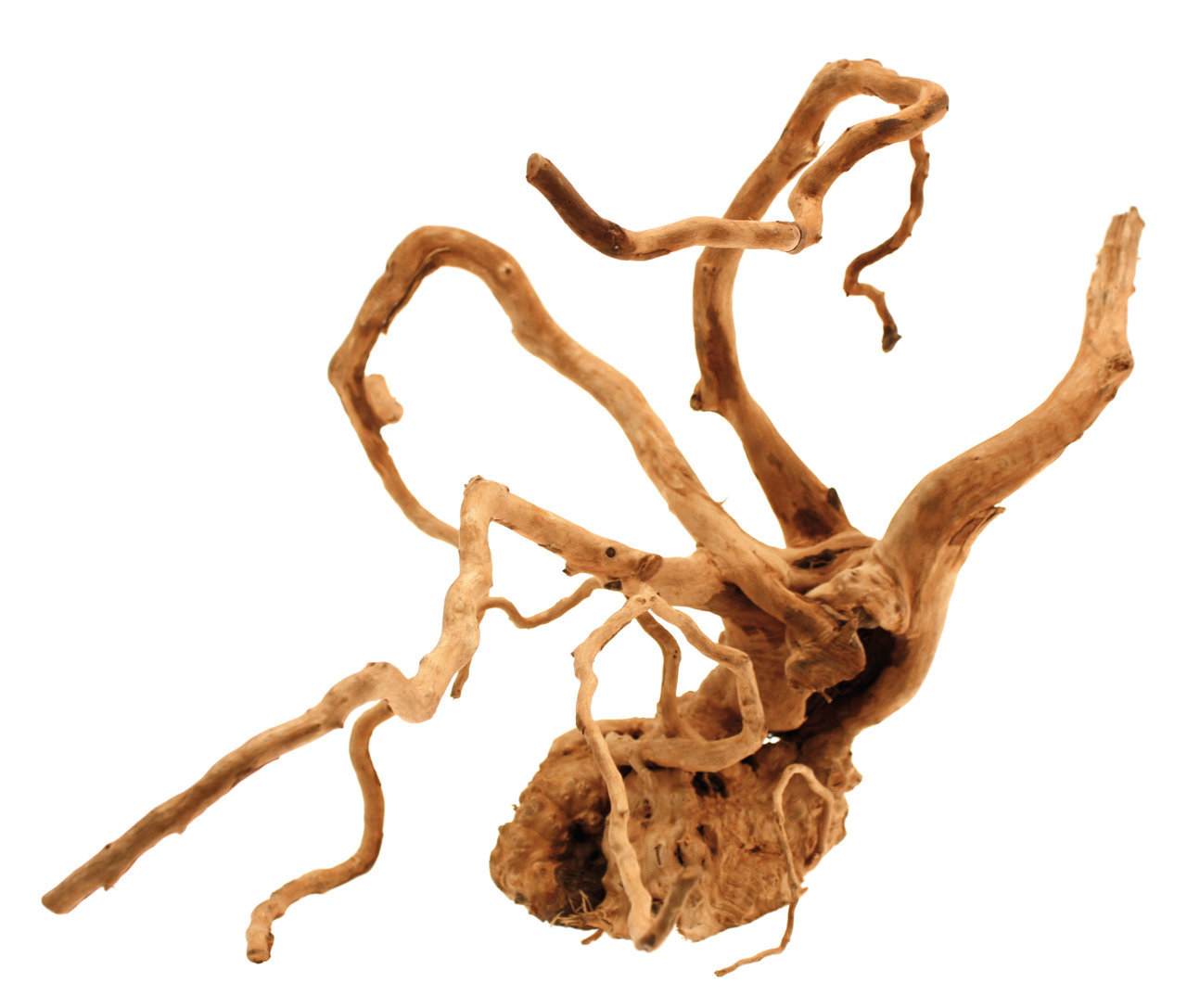 Mangrovenholz Amtra, für Aquarien-Terrarien, naturbelassen, geschwungene Formen, für Fische, Reptilien, Amphibien, dekorativ.