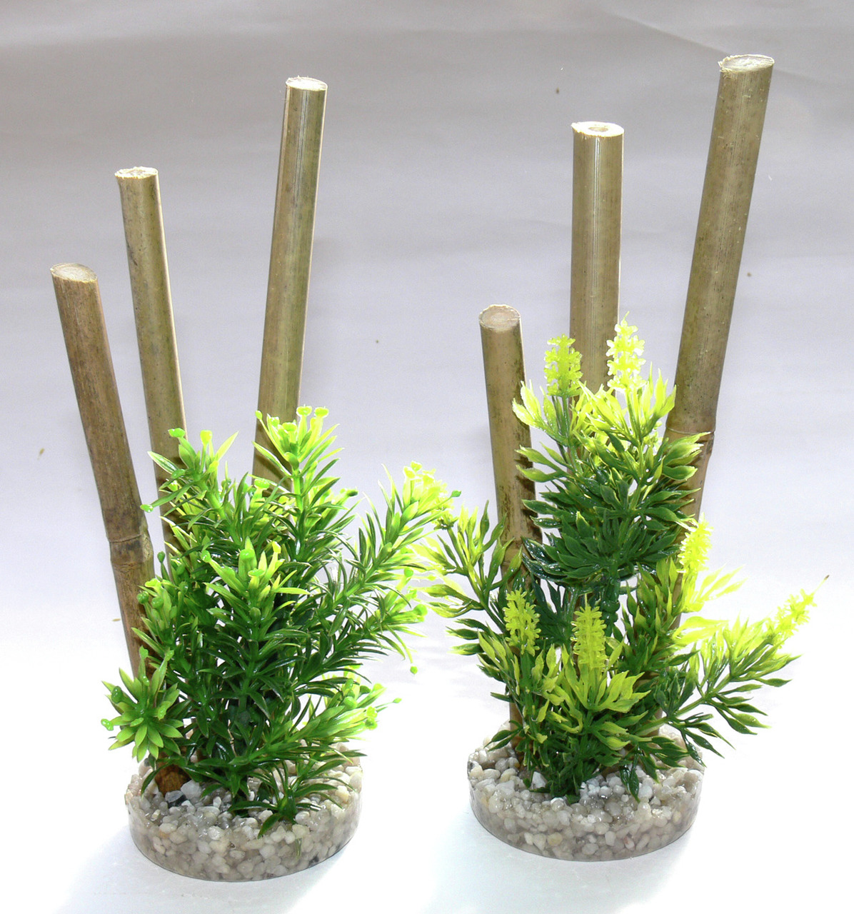 Sydeco Bamboo forest 20 cm