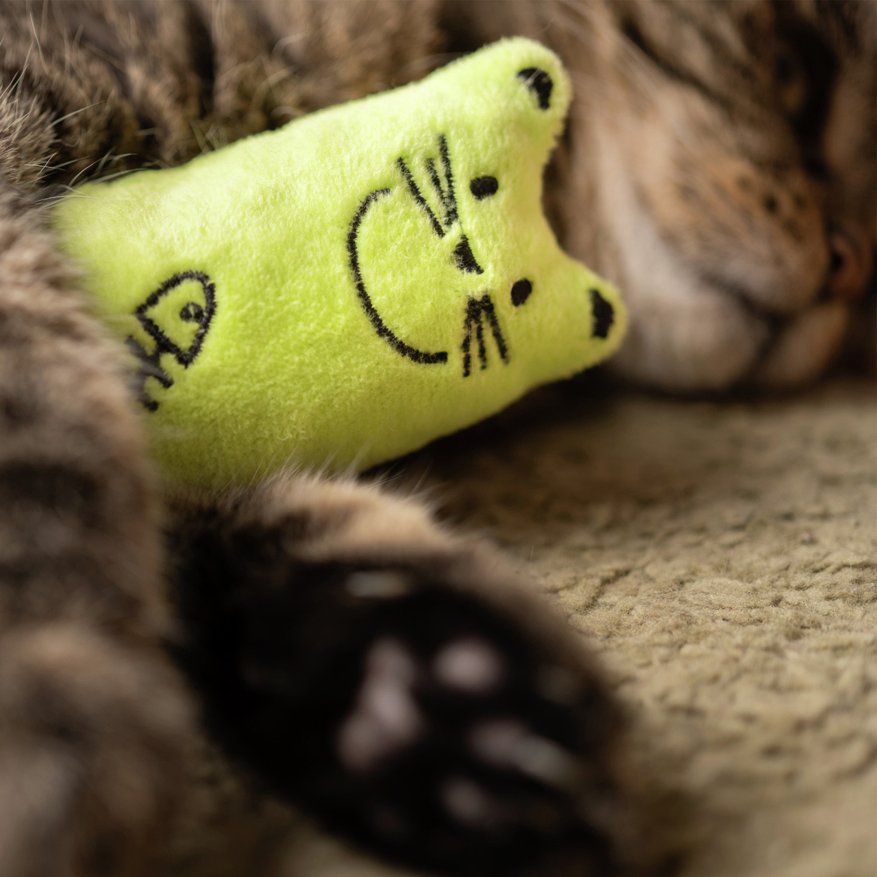 Ein braun getigerter Hauskater liegt entspannt auf einem Teppich und hält ein leuchtend grünes Katzenspielzeug der Marke Allpets in Form eines lächelnden Katzenkopfes mit Fischmotiv. Das Spielzeug ist speziell für Katzen entwickelt und fördert spielerisch