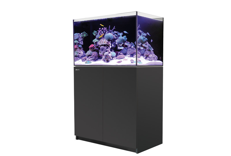 Red Sea REEFER 250 (G2 - Modelljahr 2022) schwarz Meerwasseraquarium mit Unterschrank