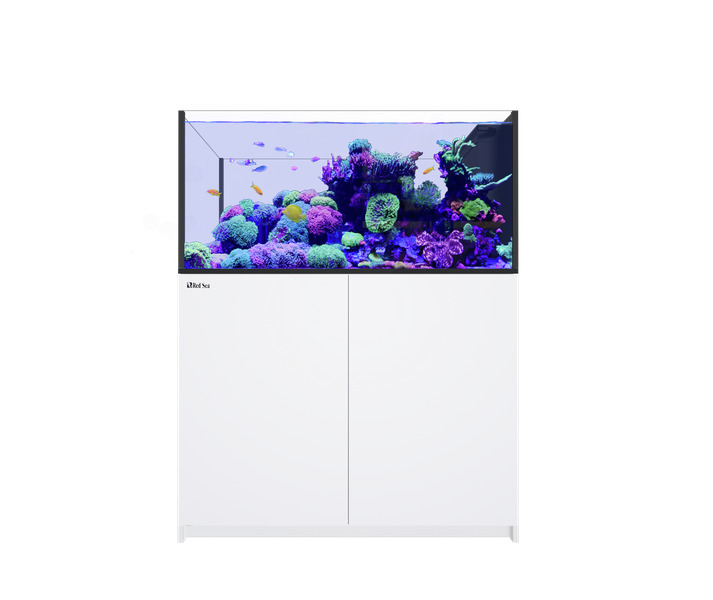 Das Bild zeigt das Red Sea Reefer 350, ein hochwertiges Aquarium für Meerwasserliebhaber. Es ist mit lebhaften Korallen und bunten Fischen dekoriert, die eine natürliche Unterwasserwelt nachbilden. Das Aquarium verfügt über einen weißen Unterschrank und b