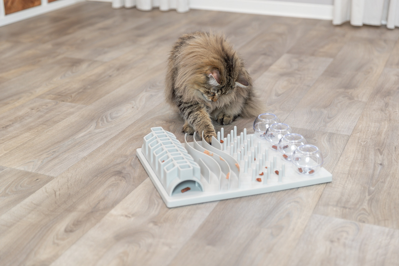 Das Bild zeigt eine Katze, die mit dem TRIXIE Cat Activity Fun Board spielt, einem interaktiven Spielzeug für Katzen. Das Produkt ist für Katzen aller Altersgruppen geeignet und fördert Geschicklichkeit sowie geistige Aktivität. Es besteht aus fünf versch