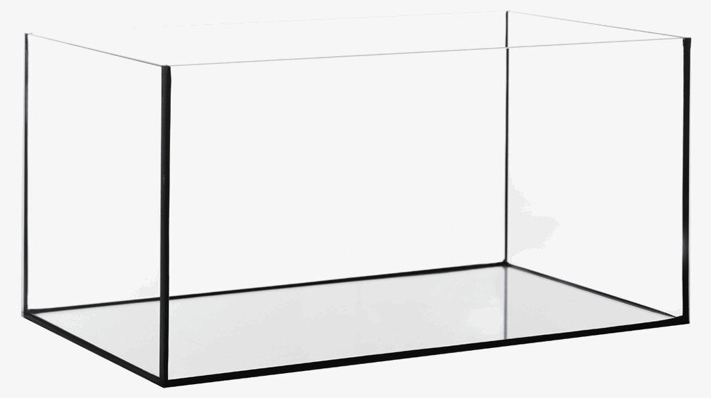 Dennerle Scaper's Tank, Glasaquarium, für Aquaristik-Enthusiasten, ideal für Aquascaping, klare rahmenlose Kanten, moderne Optik.