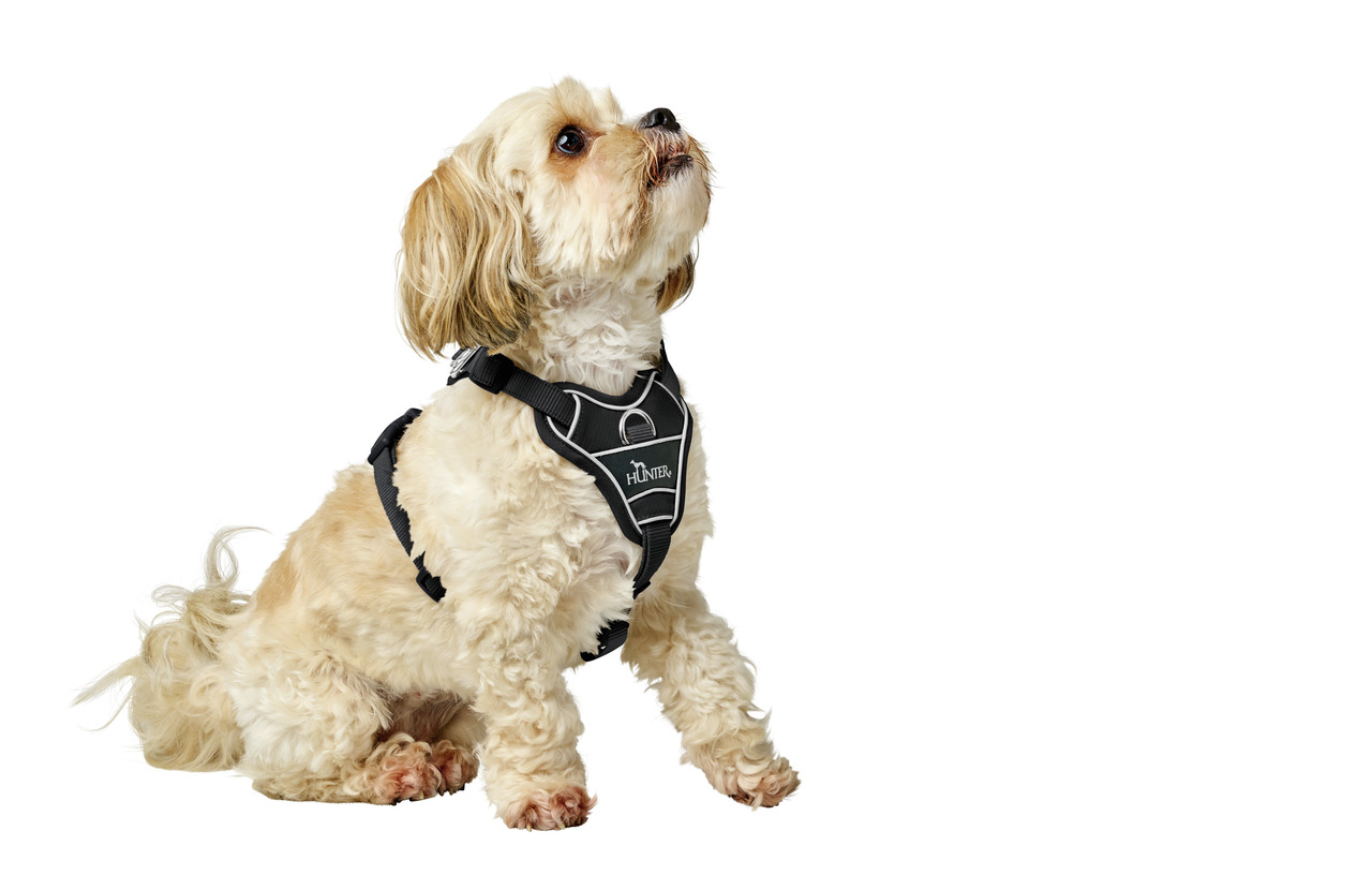 HUNTER Hundegeschirr, ergonomisch, reflektierend, für kleine Hunde, Komfort & Sicherheit, Zielgruppe: Hundehalter.