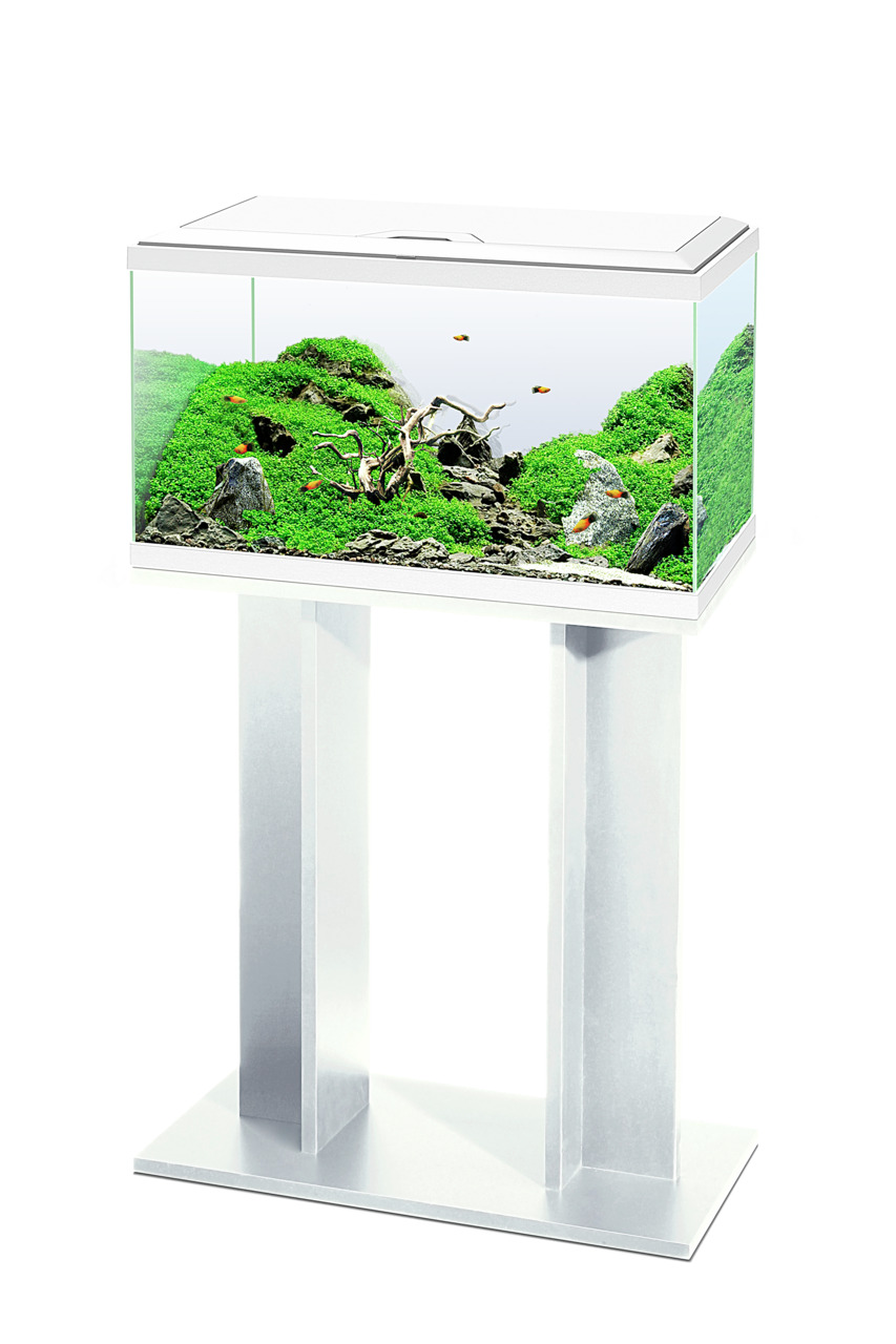 Ciano Aqua 60 Aquarium, für Aquaristik-Fans, inkl. grünem Moos, Steinen & Fischen, auf weißem, minimalistischem Ständer.