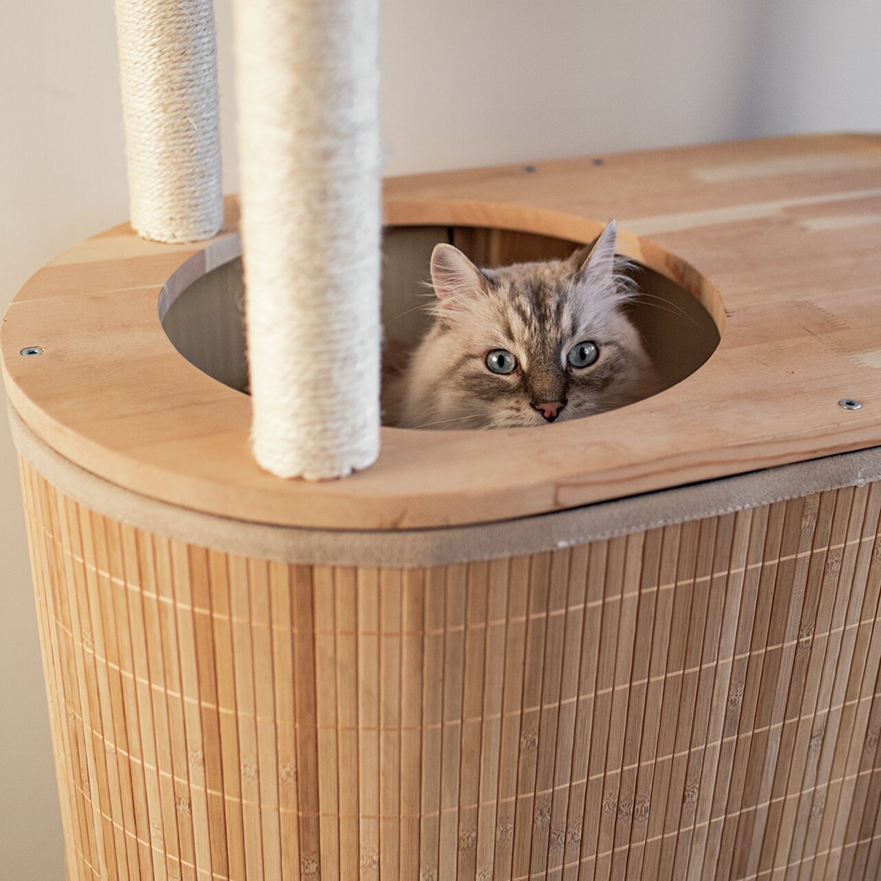 ebi Kratzbaum Bamboo Tori 78 x 39 x 113 cm beige