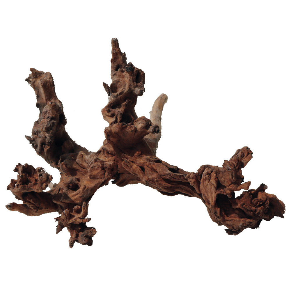 Amtra Mangrovenholz, naturbelassen, für Aquarien/Terrarien, Versteckmglk. für Fische, Reptilien, Amphibien, dunkelbraun, verzweigt.