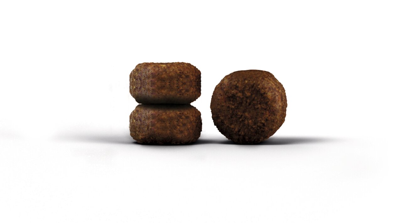 Trockenfutter von Josera für Hunde, zirkuläre Krokettensorte, ideal für eine ausgewogene Ernährung, ohne sichtbare Mengenangabe.