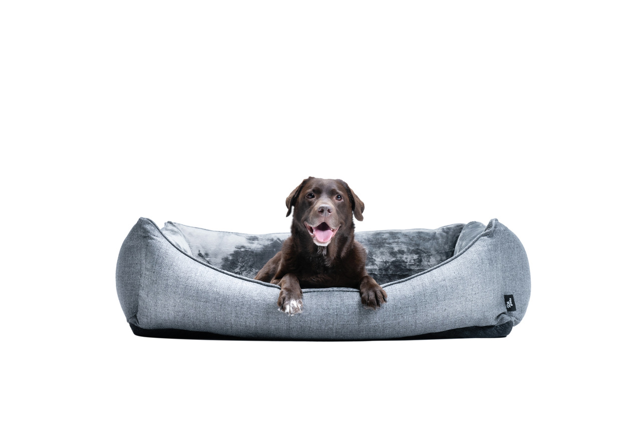 Allpets Hundebett, grau, für mittelgroße bis große Hunde, weicher Stoff, gemütlich, modernes Design, ideal zum Entspannen.