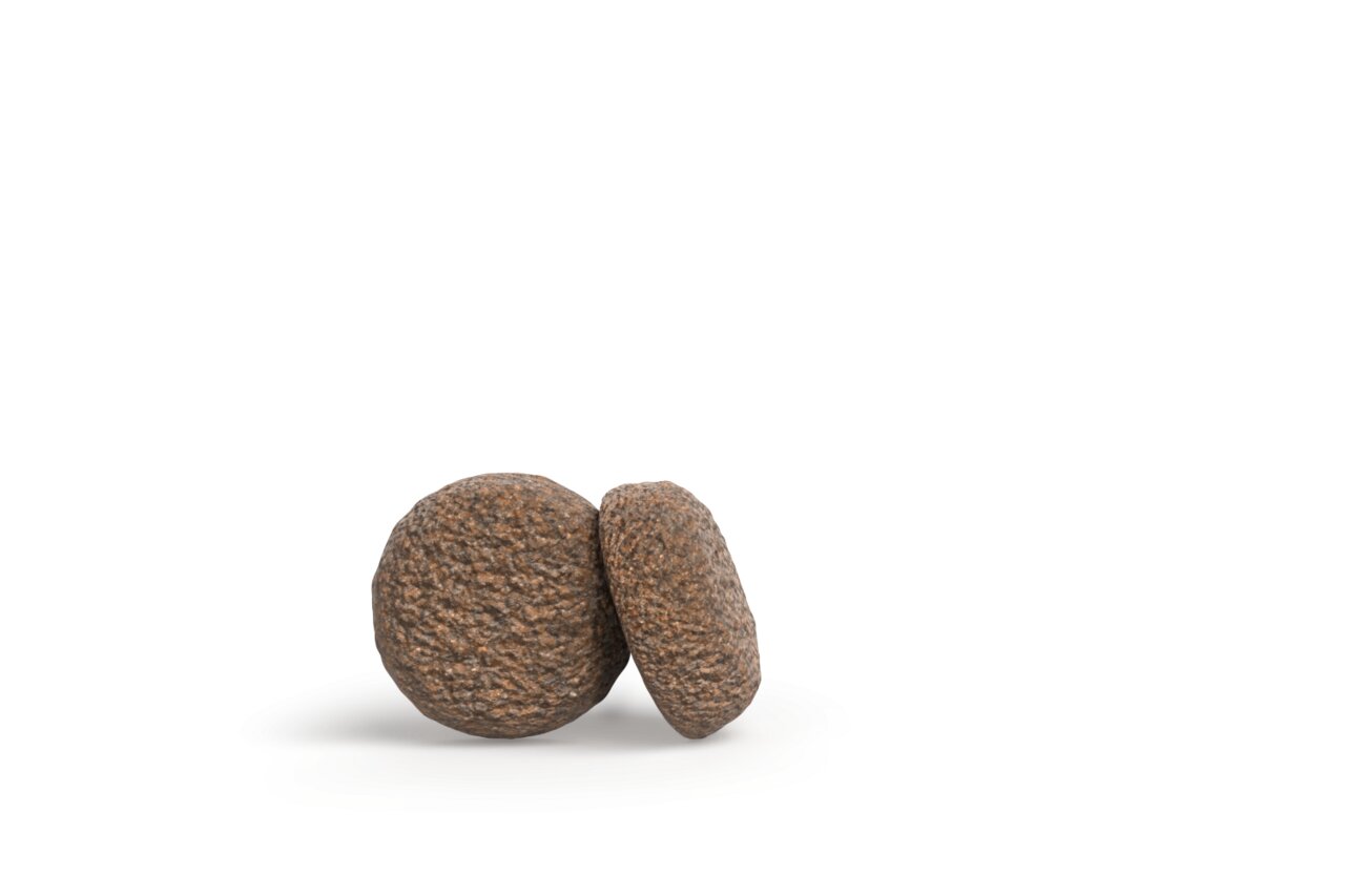 Zwei braune Krokettenteile von Josera-Hundefutter, optimal für ausgewachsene Hunde, Fotodetail ohne Mengenangabe.