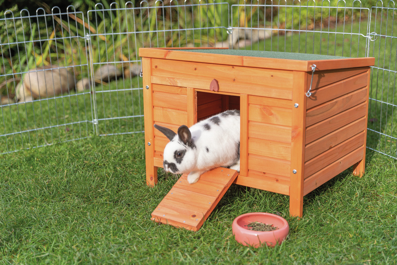 Auf dem Bild ist ein TRIXIE Kleintierhaus aus Holz zu sehen, das speziell für Kaninchen und andere Kleintiere entwickelt wurde. Ein schwarz-weißes Kaninchen verlässt das Haus über eine kleine Rampe. Im Vordergrund steht ein Napf mit Futter. Das Gehege ist