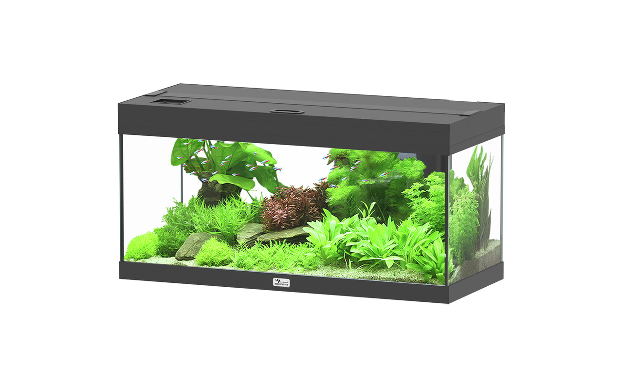 Aquatlantis Advance LED 80 Aquarium, rechteckig, mit LED-Beleuchtung, für Aquaristik-Enthusiasten, inkl. Pflanzen/Deko.