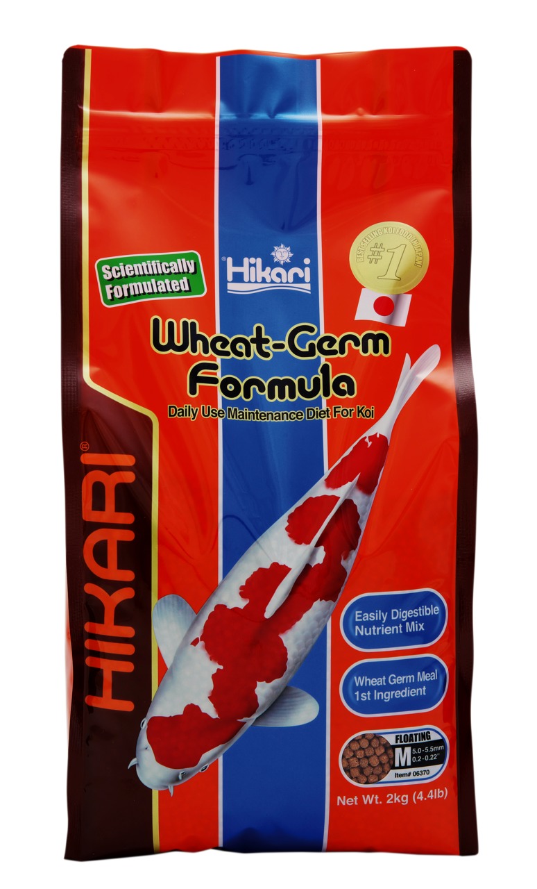 Hikari Wheat-Germ Formula, Fischfutter für Koi, 2 kg, Pellets 5,0–5,5 mm, leicht verdaulich, mit Weizenkeim, wissenschaftlich formuliert.