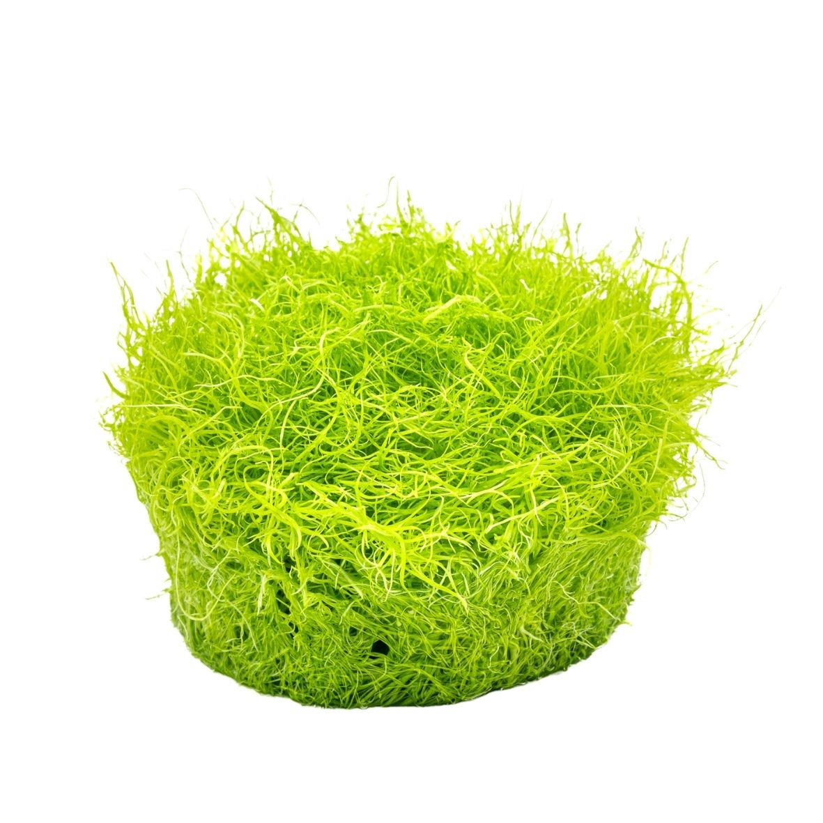Rundes, grünes Deko-Moos-Arrangement in nestartiger Form. Perfekt für Bastelprojekte, Dekorationen oder Tischschmuck. Frische Note.
