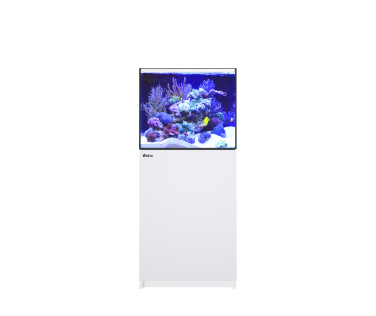 Das Bild zeigt das Red Sea Reefer 170, ein hochwertiges Aquarium für Meerwasserliebhaber. Es ist auf einem weißen Unterschrank montiert und präsentiert ein lebendiges Korallenriff mit bunten Fischen, darunter ein gelber Doktorfisch. Das Aquarium eignet si
