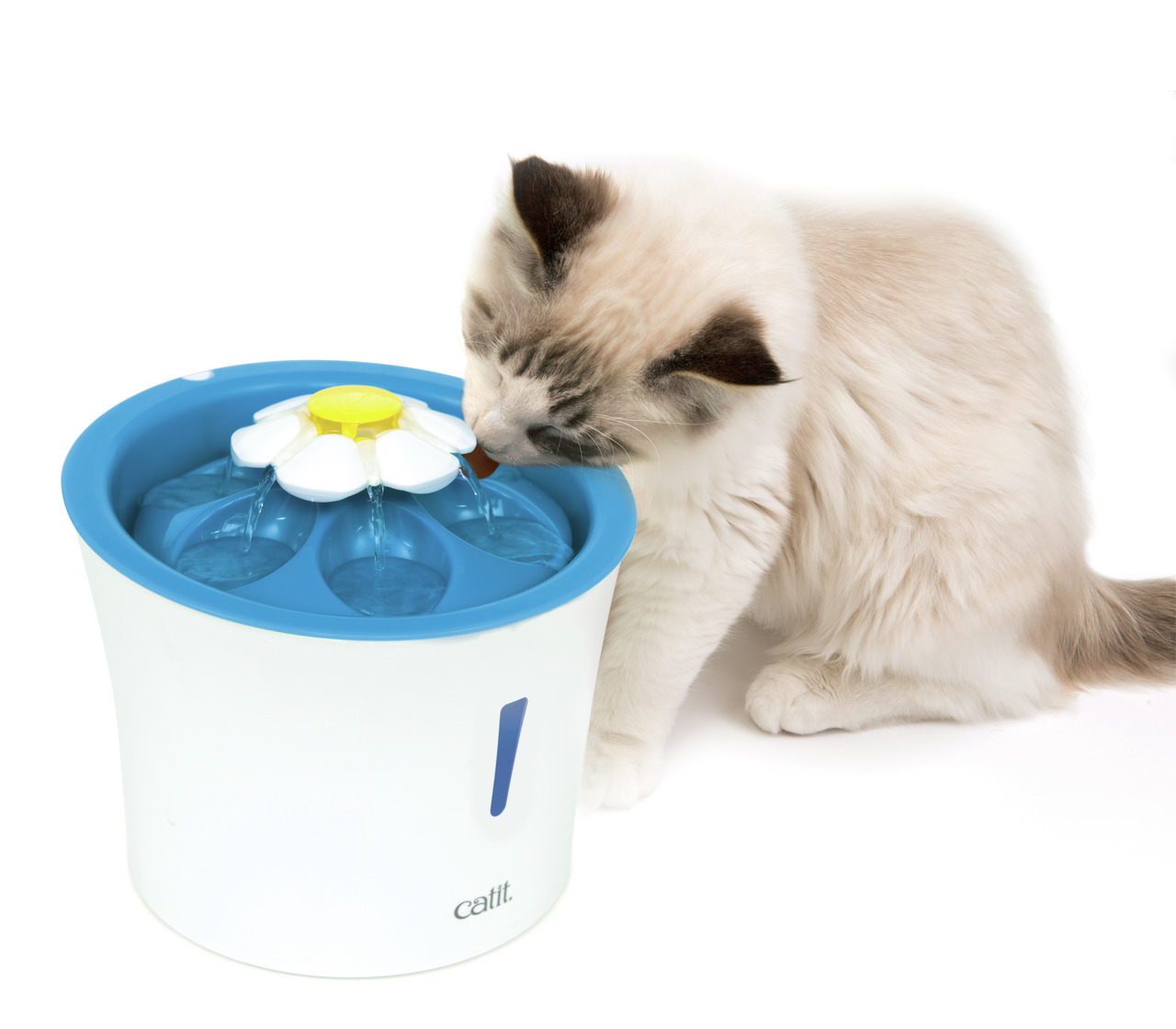 Catit Trinkbrunnen für Katzen, blumenförmiges Design, frisches zirkulierendes Wasser, fördert Gesundheit, ideal für Katzenbesitzer.