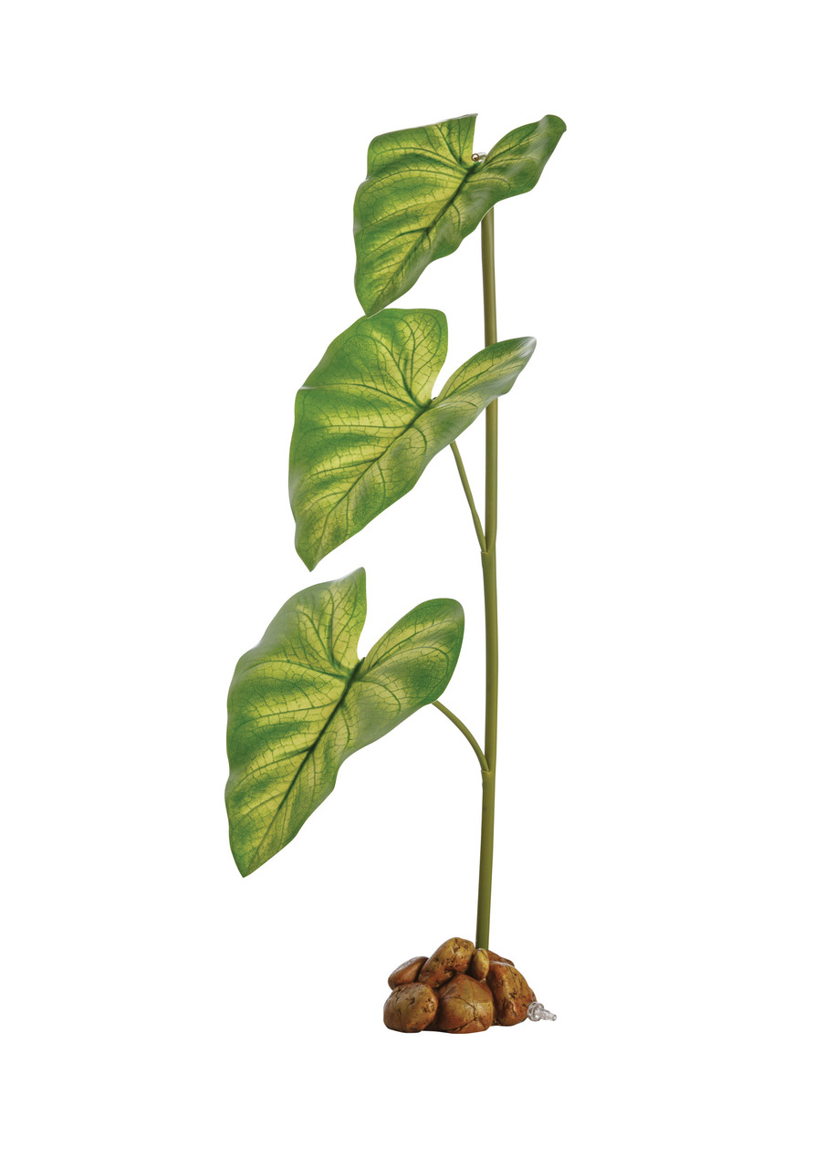 Exo Terra Jungle Plant – Caladium, künstl. Pflanze f. Reptilien/Amphibien, grüne Blätter, Deko+Versteck, stabiler Sockel.