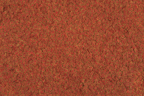 Das Bild zeigt eine Nahaufnahme von TetraMin Flockenfutter, einem hochwertigen Fischfutter der Marke Tetra. Es richtet sich an Zierfische und bietet eine ausgewogene Ernährung. Die Flocken sind in verschiedenen Rottönen gehalten und fördern Gesundheit, Fa