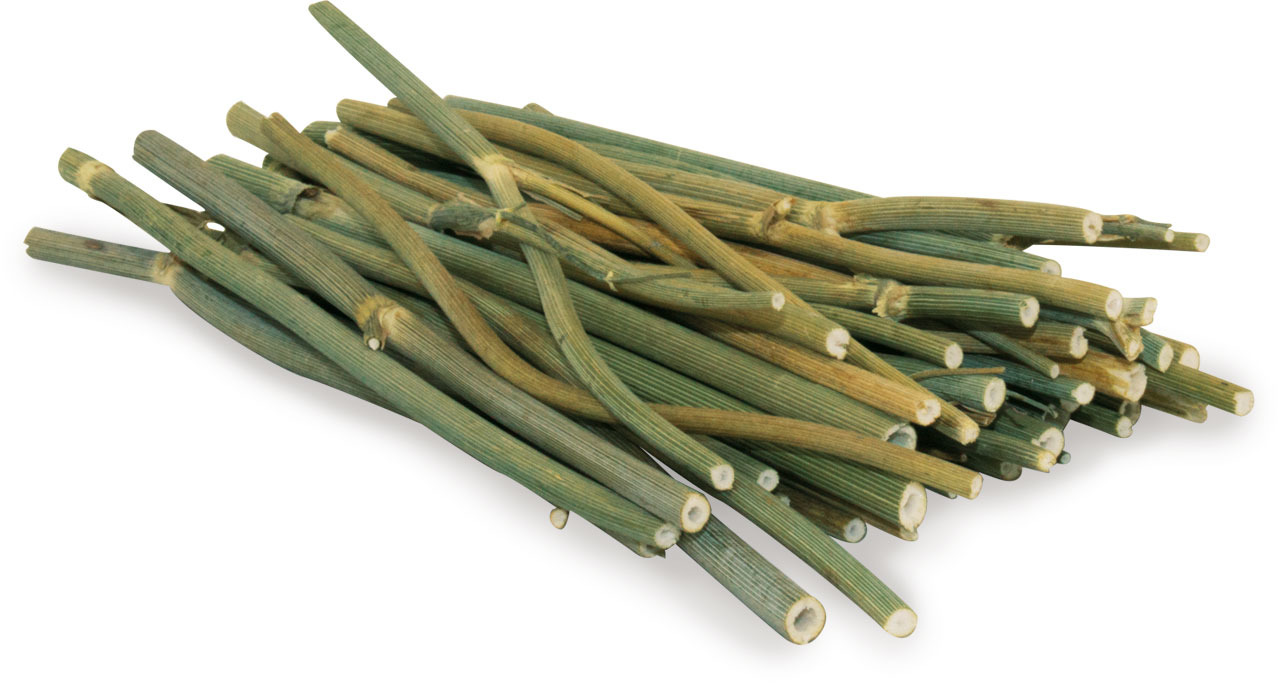 JR FARM Weidensticks, Naturprodukt für Kleintiere (Kaninchen, Nager), aus Weidenholz, gesunder Snack, fördert Nagetrieb, 100 g.