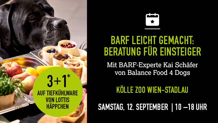 120926 Barf Wien Stadlau Mobile 768x432px