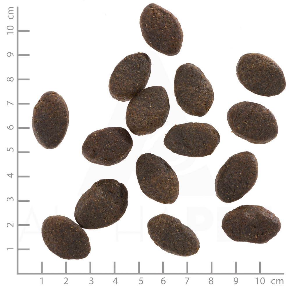 Wolfsblut „Wide Plain Small Breed“ Hundefutter, kleine Rassen, Pferdefleisch, 2 kg, ovale Kroketten (1-2 cm).