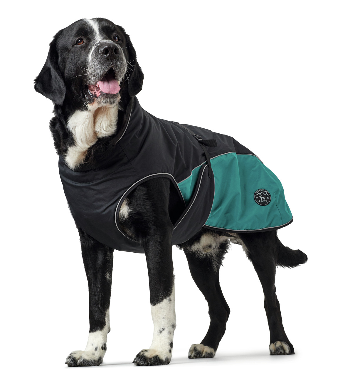 HUNTER Hundemantel, schwarz/türkis, für große Hunde, Schutz vor Kälte/Nässe, ideal für Outdoor.
