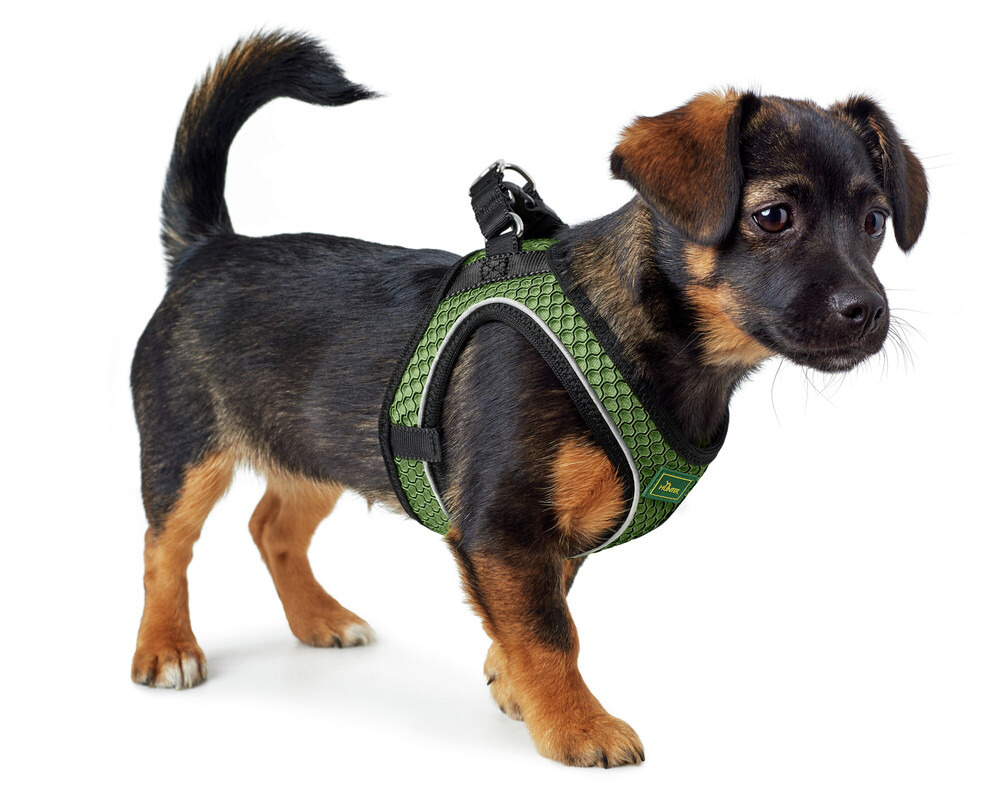 HUNTER Hundegeschirr, ergonomisch, grün, für kleine Rassen, optimaler Tragekomfort, ideal für Spaziergänge & Outdoor-Aktivitäten.