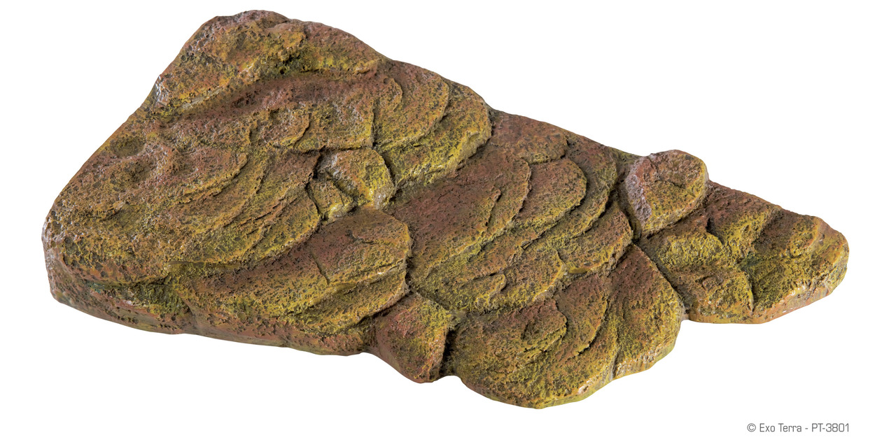 Exo Terra Feeding Rock, Futterstation f. Reptilien/Amphibien, realistisch, reduziert Futterverschwendung, nat. Braun, grüne Moosakzente.