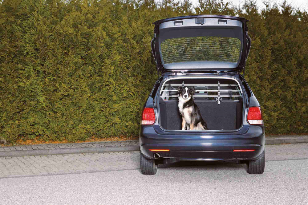 Das Bild zeigt einen schwarzen Kombi mit geöffneter Heckklappe, in dem ein schwarz-weißer Hund sitzt. Im Kofferraum ist ein TRIXIE Auto-Schutzgitter installiert, das für die Sicherheit von Hunden während der Fahrt sorgt. Das Produkt richtet sich an Hundeb