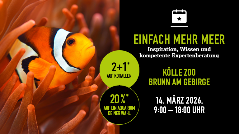 140326 Mehrmeer Brunn Mobile 768x432px