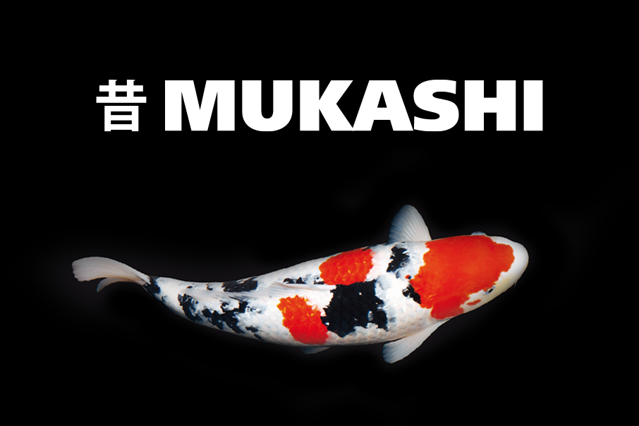 Mukashi