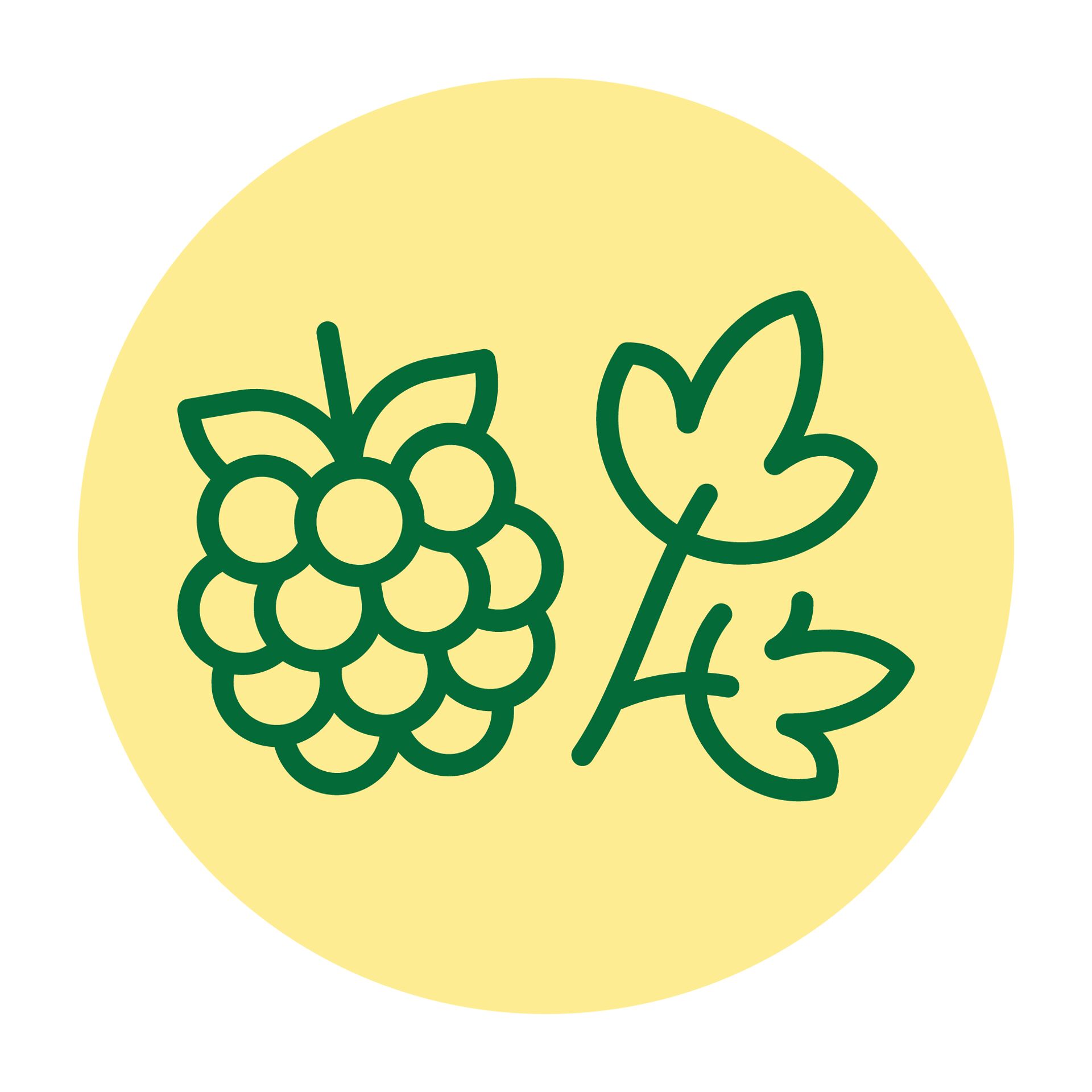 Jos Icons Herbsandfruit Allsizes