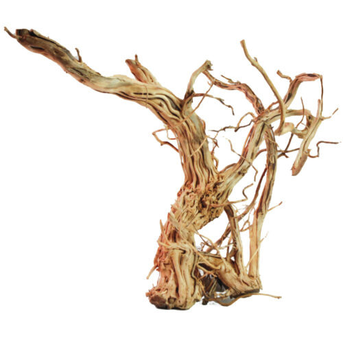 Amtra Mangrovenholz, naturbelassen, für Aquarien/Terrarien, schafft naturnahes Habitat für Fische/Reptilien, dekorativ, einzigartig.