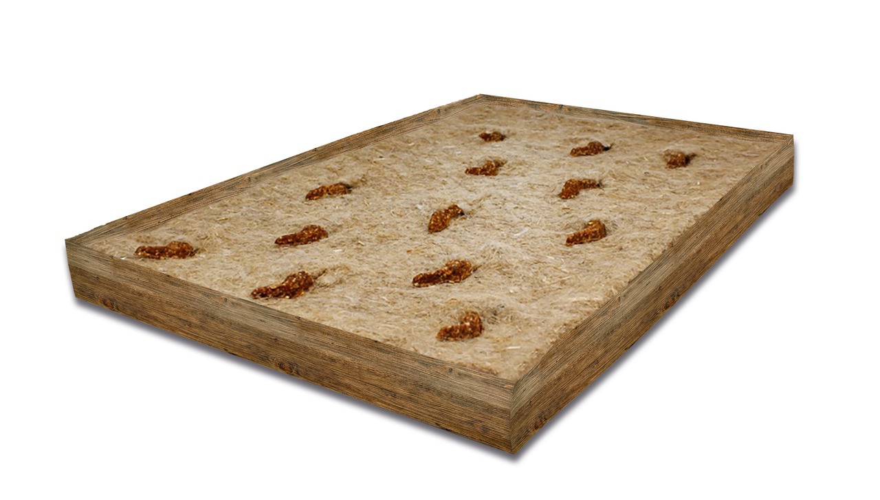 Das Bild zeigt das Produkt „JR FARM Nager-Snack Wiesen-Heu-Tafel mit Karotten“, geeignet für Kleintiere wie Kaninchen und Meerschweinchen. Die Tafel besteht aus gepresstem Wiesenheu mit getrockneten Karottenstücken als schmackhafte Ergänzung. Ideal zur Be