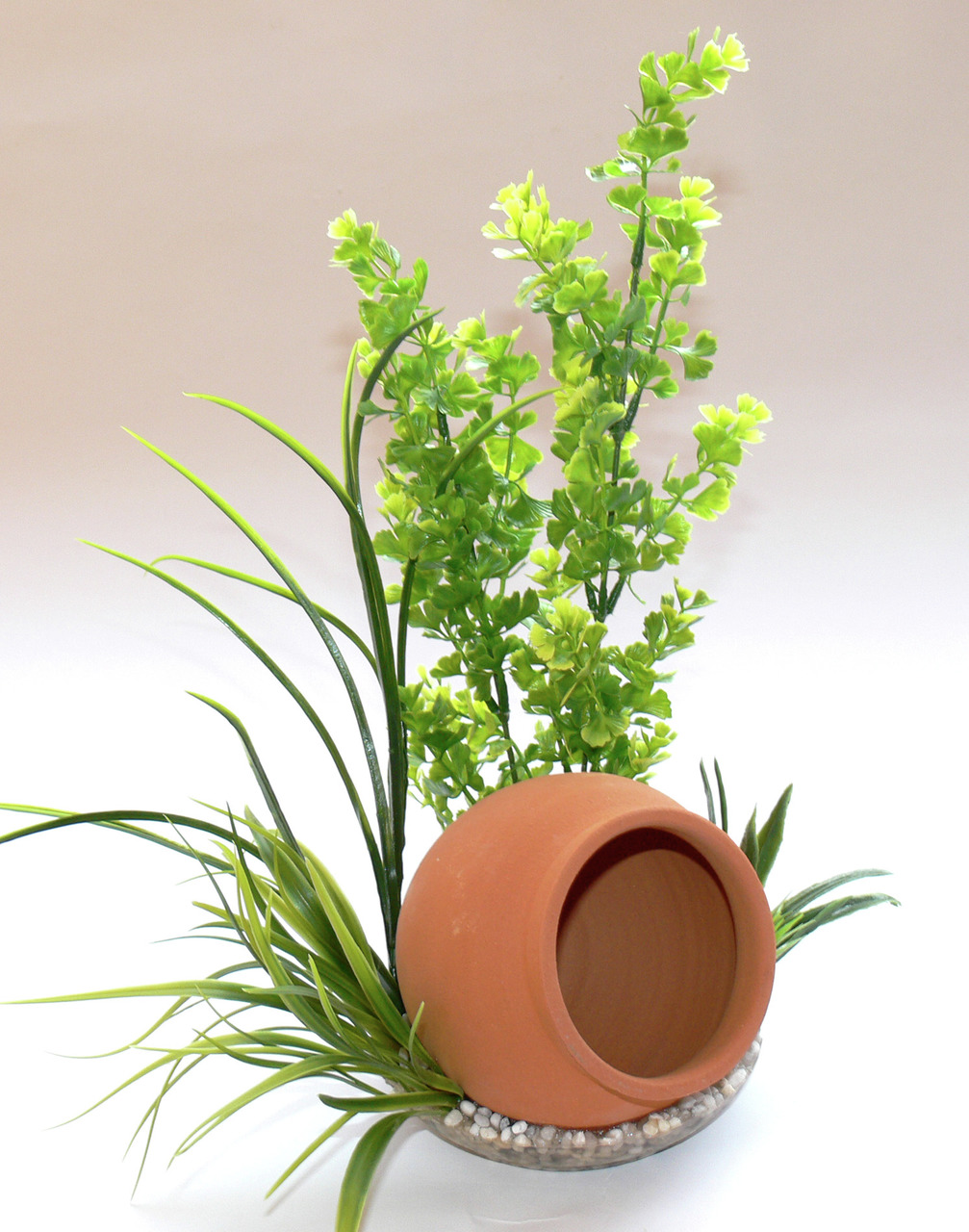 Sydeco Jar Plant 35 cm